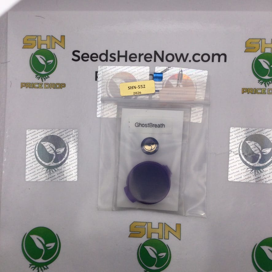 Ghost Breath (Regular) – Thug Pug Genetics | Vault Release