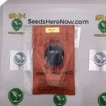 Meat Madness (Regular) – Thug Pug Genetics | Vault Release