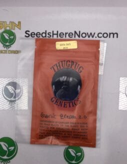 Garlic Breath 2.0 (Regular) – Thug Pug Genetics | Vault Release