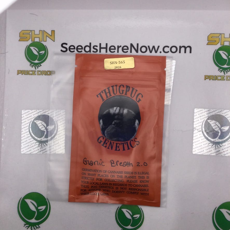 Garlic Breath 2.0 (Regular) – Thug Pug Genetics | Vault Release