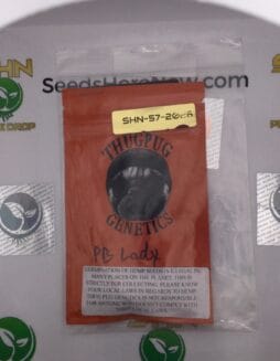 PB Lady (Regular) – Thug Pug Genetics | Vault Release