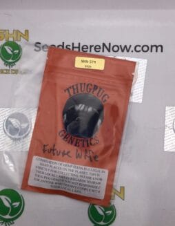Future Wife (Regular) – Thug Pug Genetics | Vault Release