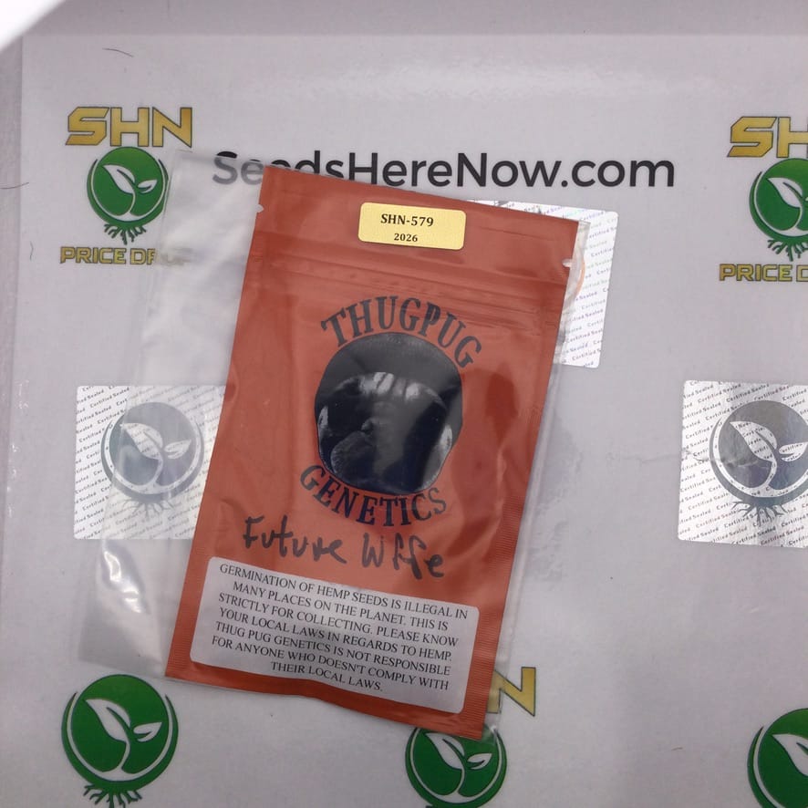 Future Wife (Regular) – Thug Pug Genetics | Vault Release