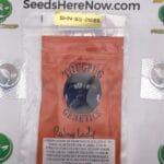 Rainy Lady (Regular) – Thug Pug Genetics | Vault Release