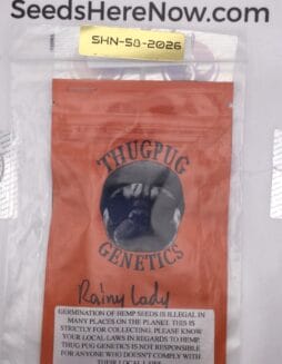 Rainy Lady (Regular) – Thug Pug Genetics | Vault Release