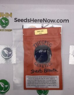 Sherb Breath (Regular) – Thug Pug Genetics | Vault Release