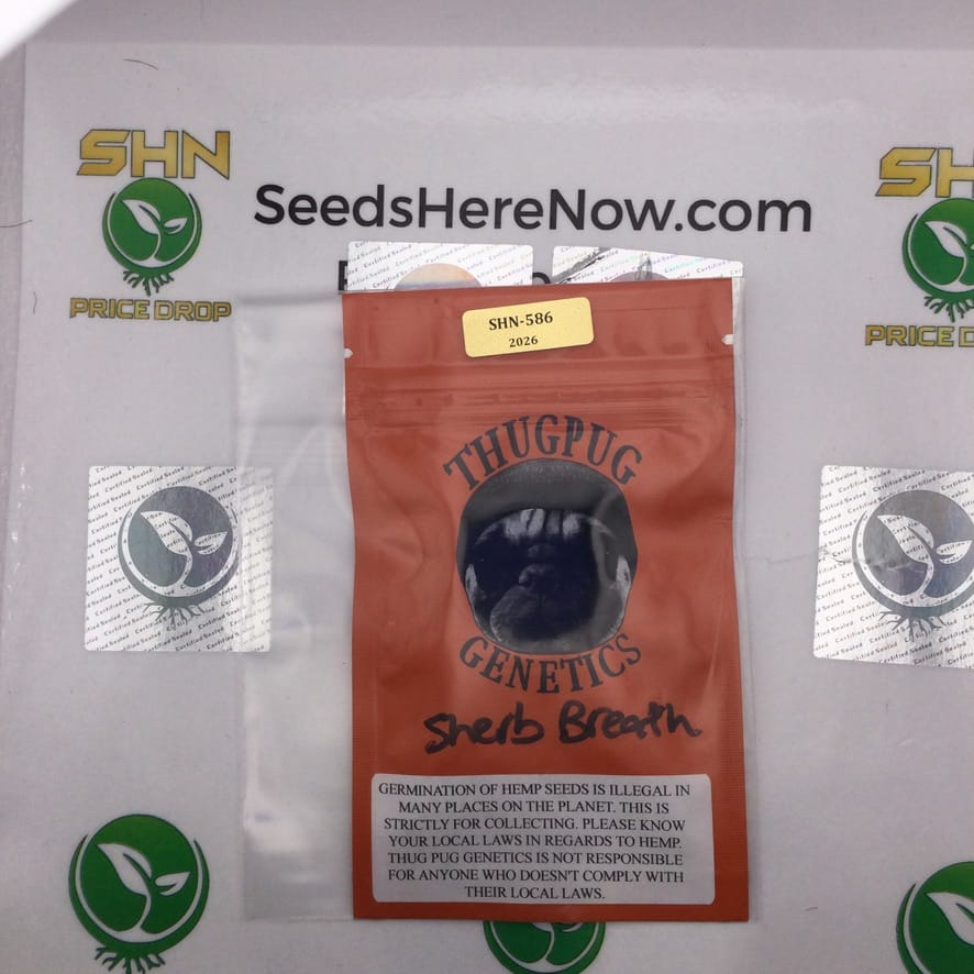 Sherb Breath (Regular) – Thug Pug Genetics | Vault Release