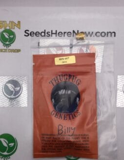 Billy (Regular) – Thug Pug Genetics | Vault Release