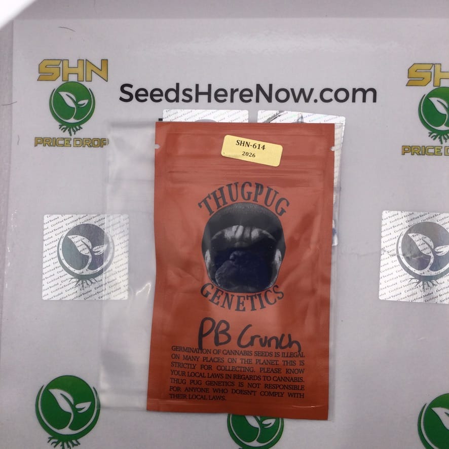 PB Crunch (Regular) – Thug Pug Genetics | Vault Release