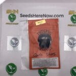 Carls Shoes (Regular) – Thug Pug Genetics | Vault Release