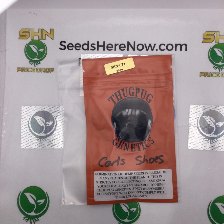 Carls Shoes (Regular) – Thug Pug Genetics | Vault Release