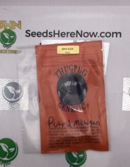 Putrid Michigan (Regular) – Thug Pug Genetics | Vault Release