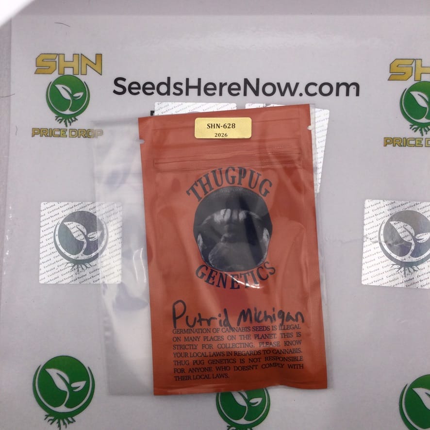 Putrid Michigan (Regular) – Thug Pug Genetics | Vault Release