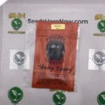 Stinky Putang (Regular) – Thug Pug Genetics | Vault Release