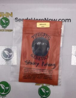 Stinky Putang (Regular) – Thug Pug Genetics | Vault Release