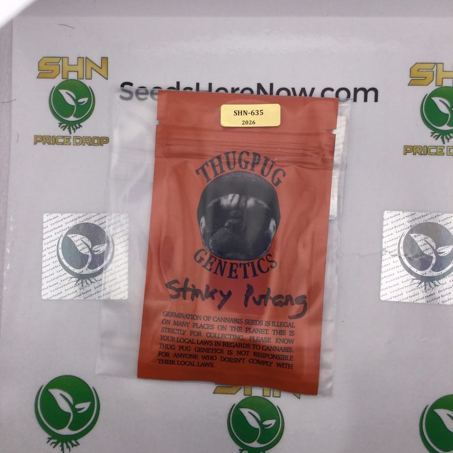 Stinky Putang (Regular) – Thug Pug Genetics | Vault Release