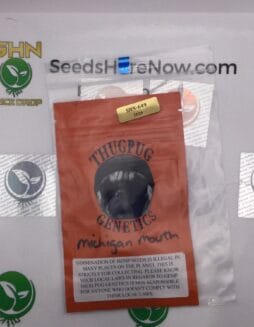 Michigan Mouth (Regular) – Thug Pug Genetics | Vault Release