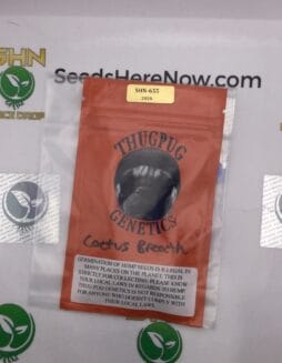 Cactus Breath (Regular) – Thug Pug Genetics | Vault Release