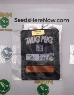 MO Meat (Regular) – Thug Pug Genetics | Vault Release