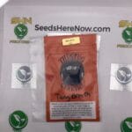 Tang Breath (Regular) – Thug Pug Genetics | Vault Release