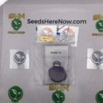 Banana S1 (Regular) – Thug Pug Genetics | Vault Release