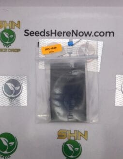 PB Breath (Regular) – Thug Pug Genetics | Vault Release