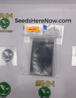 PugsBreath (Regular) – Thug Pug Genetics | Vault Release