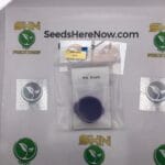 WW Breath (Regular) – Thug Pug Genetics | Vault Release