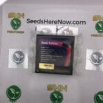 Runtz Buttonz (Regular) – Exotic Genetix | Vault Release