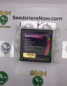 Runtz Buttonz (Regular) – Exotic Genetix | Vault Release
