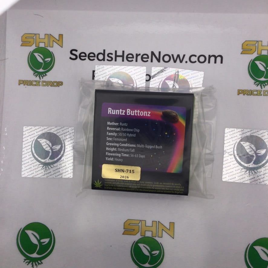 Runtz Buttonz (Regular) – Exotic Genetix | Vault Release