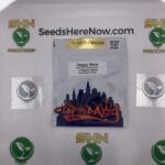 Doggy Style (Regular) – Top Dawg Seeds | Vault Release