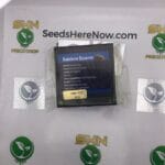 Rainbow Reserve (Regular & Feminized) – Exotic Genetix | Vault Release