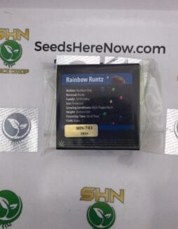 Rainbow Runtz (Regular) – Exotic Genetix | Vault Release