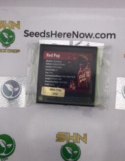 Red Pop (Regular) – Exotic Genetix | Vault Release