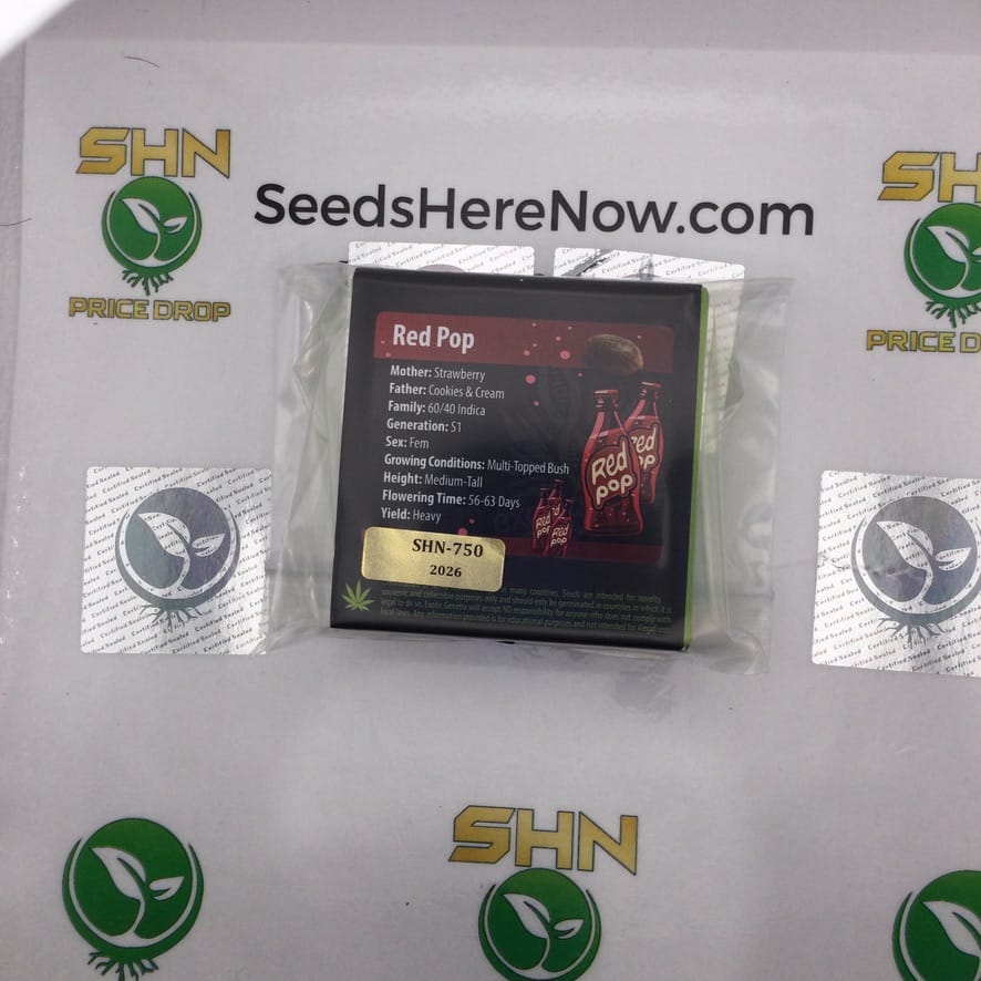 Red Pop (Regular) – Exotic Genetix | Vault Release