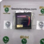 Dirty Little Secret (Feminized) – Exotic Genetix | Vault Release