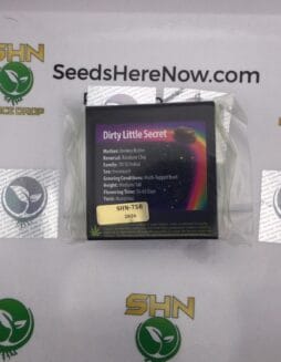 Dirty Little Secret (Feminized) – Exotic Genetix | Vault Release