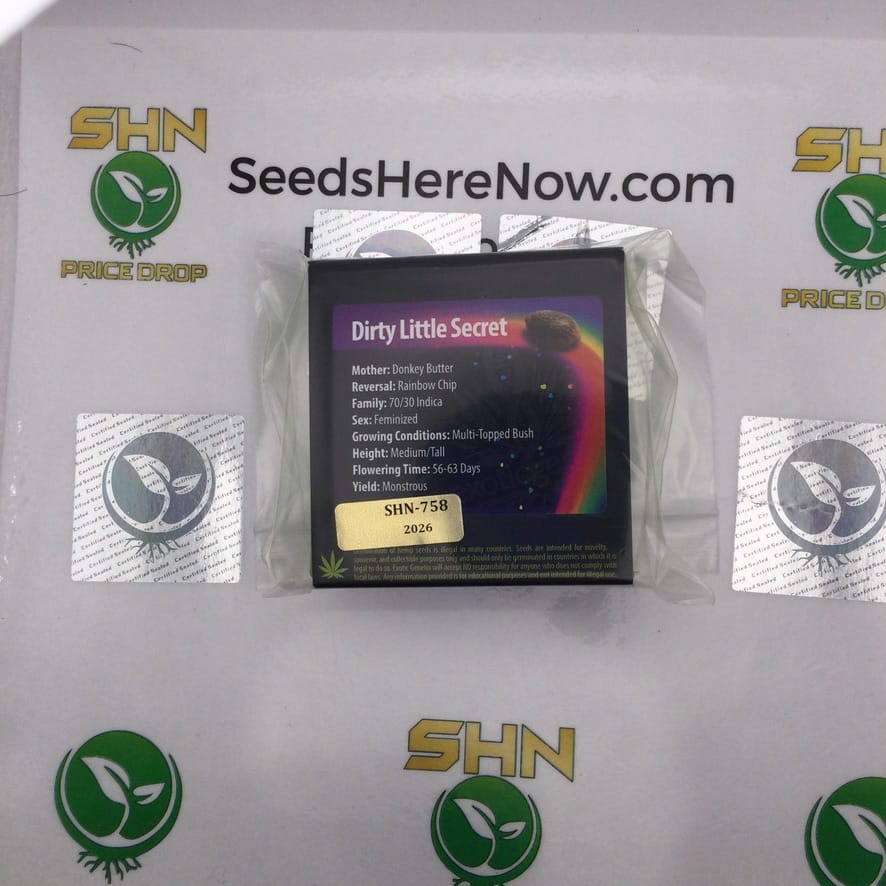 Dirty Little Secret (Feminized) – Exotic Genetix | Vault Release