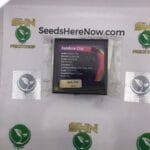 Rainbow Chip (Regular) – Exotic Genetix | Vault Release