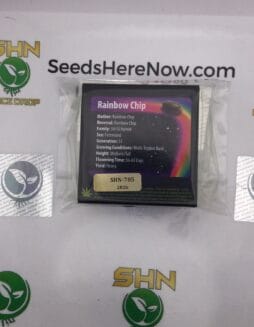 Rainbow Chip (Regular) – Exotic Genetix | Vault Release