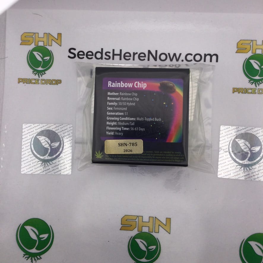 Rainbow Chip (Regular) – Exotic Genetix | Vault Release