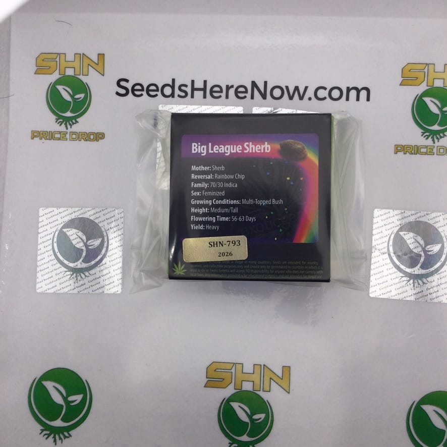 Big League Sherb (Feminized) – Exotic Genetix | Vault Release