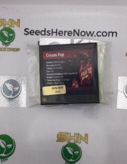 Cream Pop (Feminized) – Exotic Genetix | Vault Release