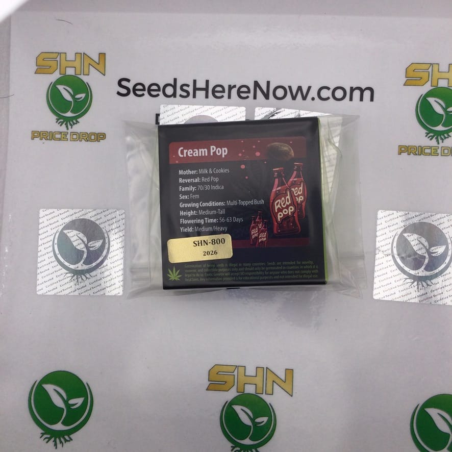 Cream Pop (Feminized) – Exotic Genetix | Vault Release