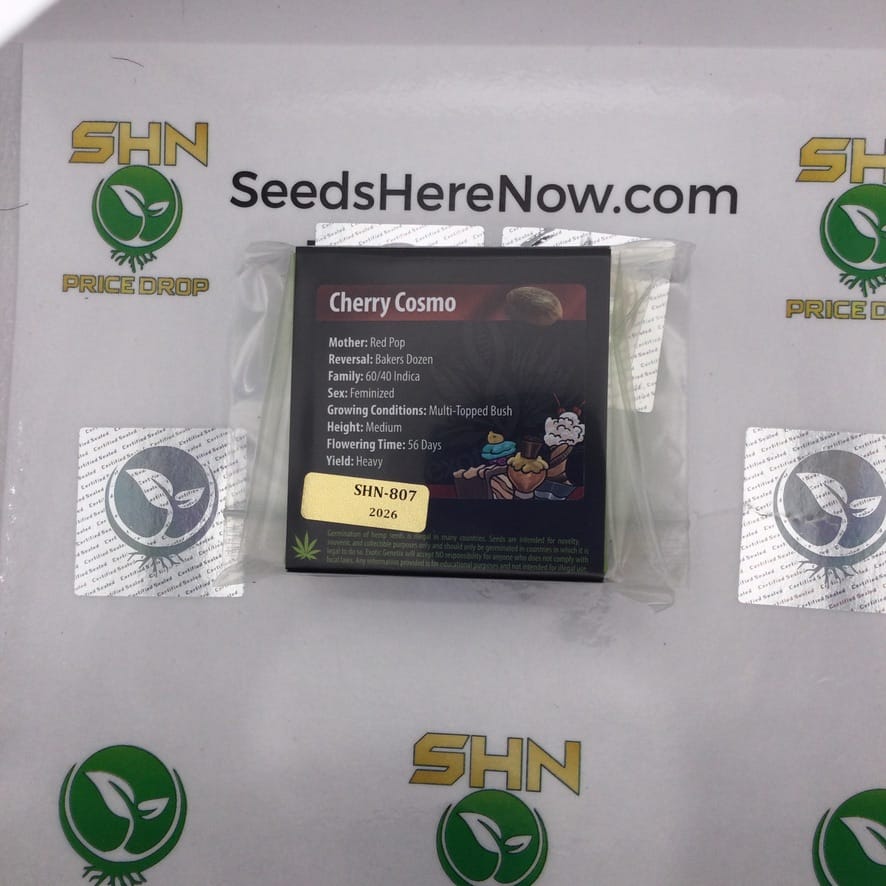 Cherry Cosmo (Feminized) – Exotic Genetix | Vault Release