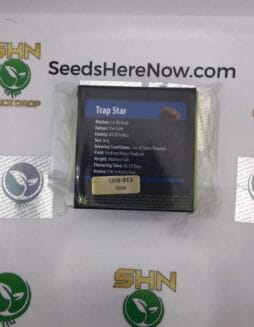 Trap Star (Regular) – Exotic Genetix | Vault Release