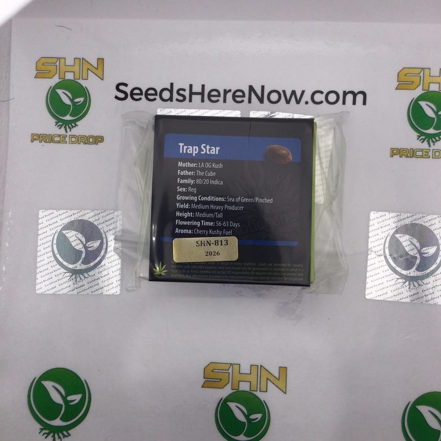 Trap Star (Regular) – Exotic Genetix | Vault Release