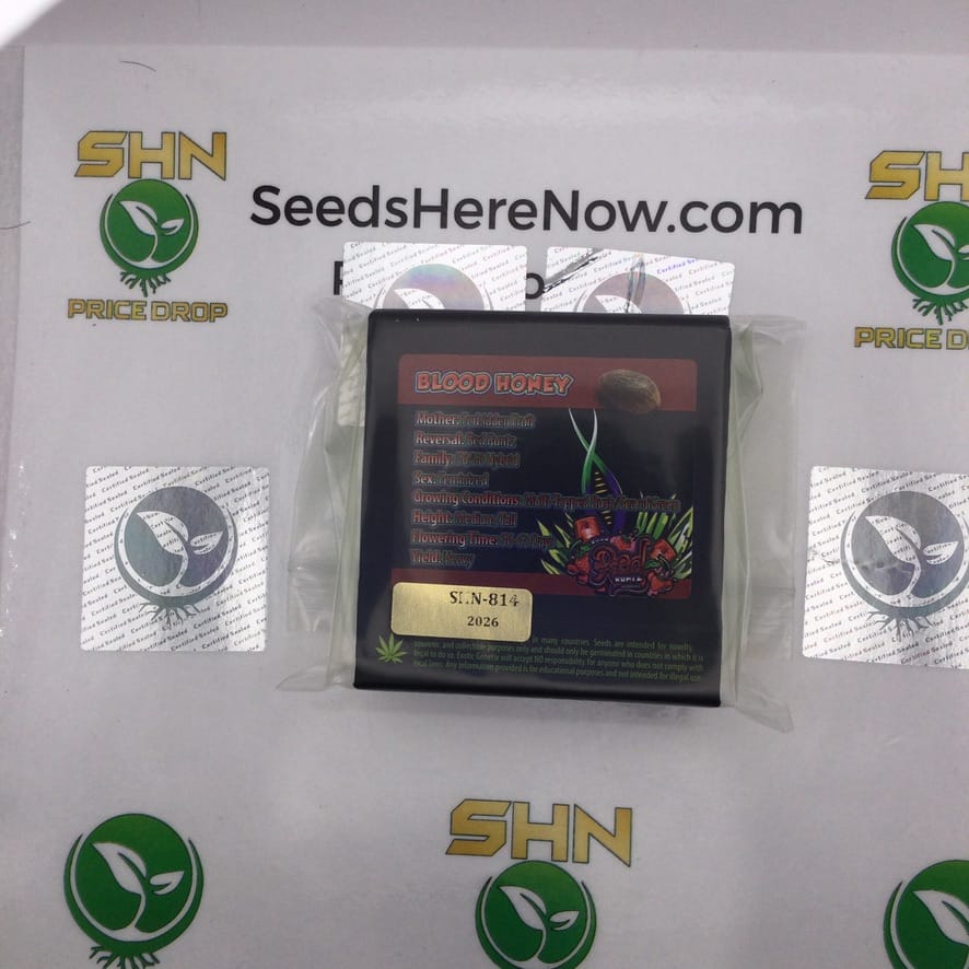 Blood Honey (Feminized) – Exotic Genetix | Vault Release