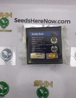 Kimbo Kush (Regular) – Exotic Genetix | Vault Release